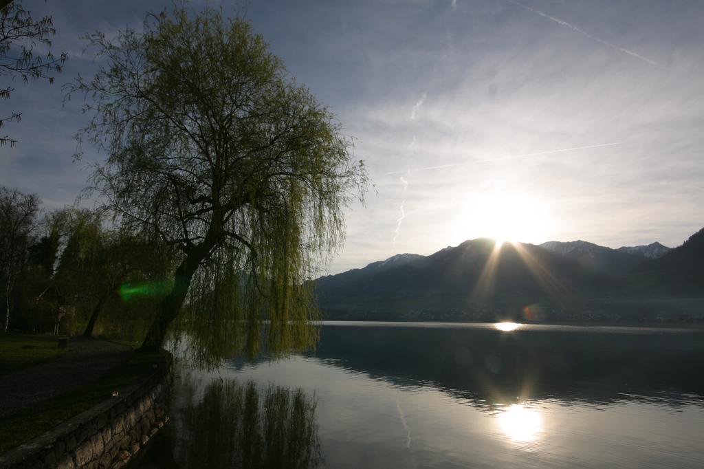 Parkhotel Waldheim Am Sarnersee Sarnen Dış mekan fotoğraf